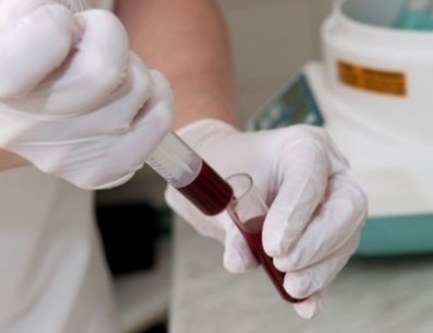 Dr. Jan Kucera, Stonek, Kriva 23, Kosice