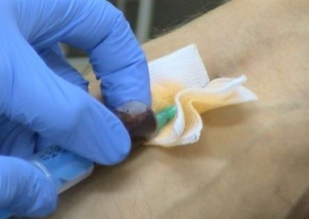 Jan Kucera, Stonek s.r.o.